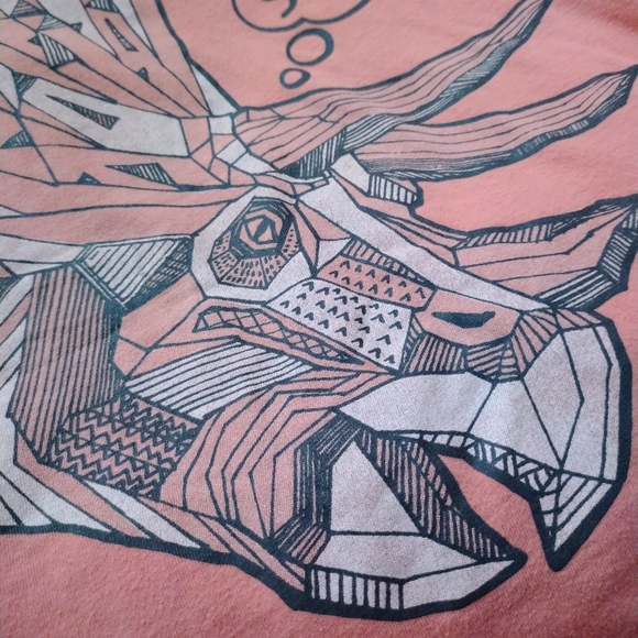 Triceratops T-shirt - Picture 3 of 3